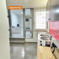 Appartement à louer 1 pièce Sélestat