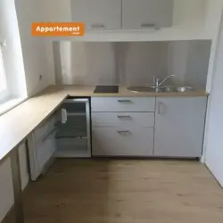 Appartement 1 pièce 32,53 m2 Lyon 4 à louer