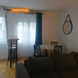 Appartement 2 pièces 38 m2 Lyon 7 à louer