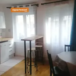 Appartement 2 pièces 38 m2 Lyon 7 à louer