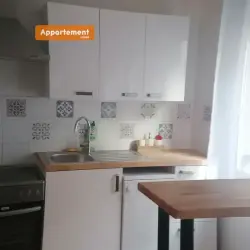 Appartement 2 pièces 38 m2 Lyon 7 à louer