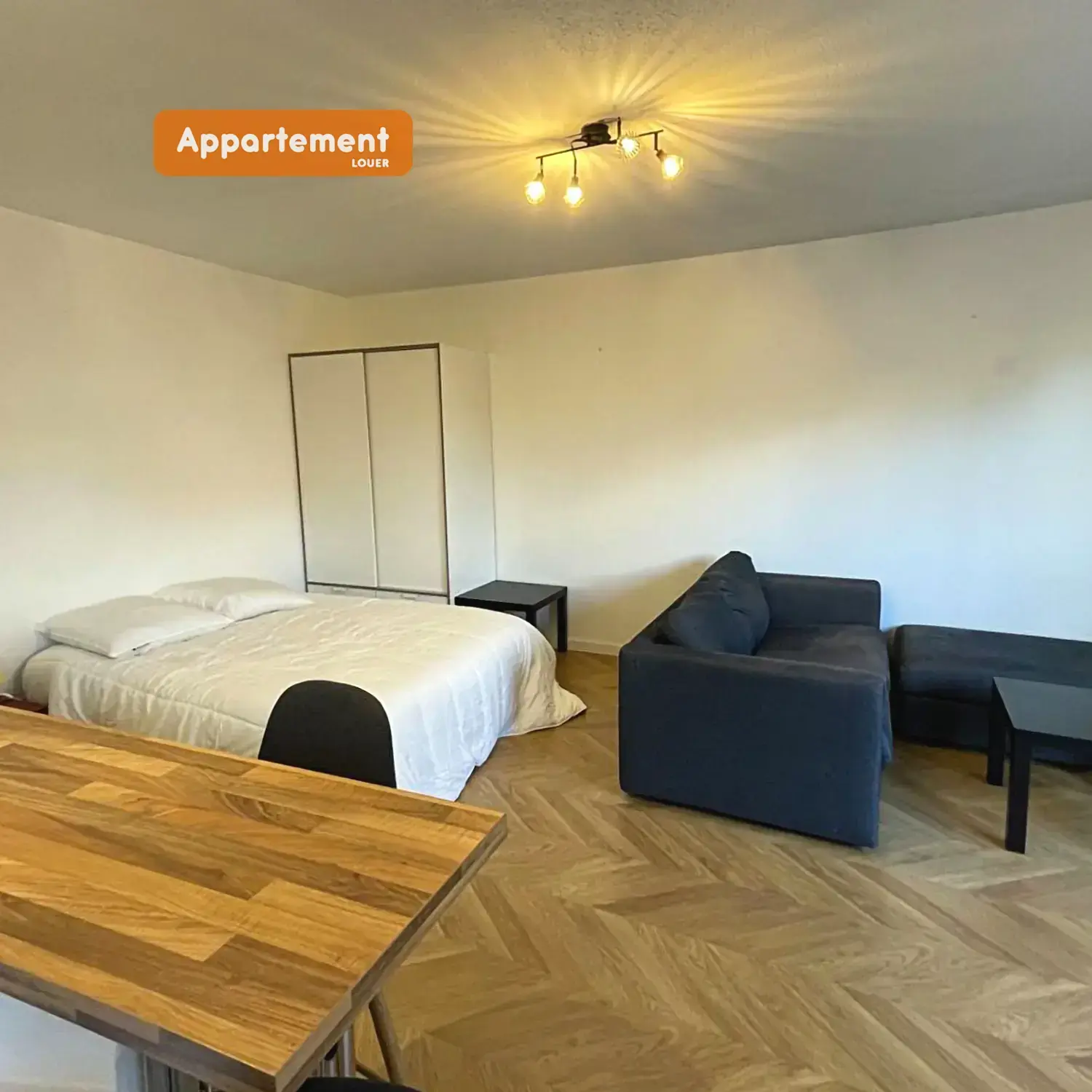 Appartement à louer 1 pièce Villeurbanne